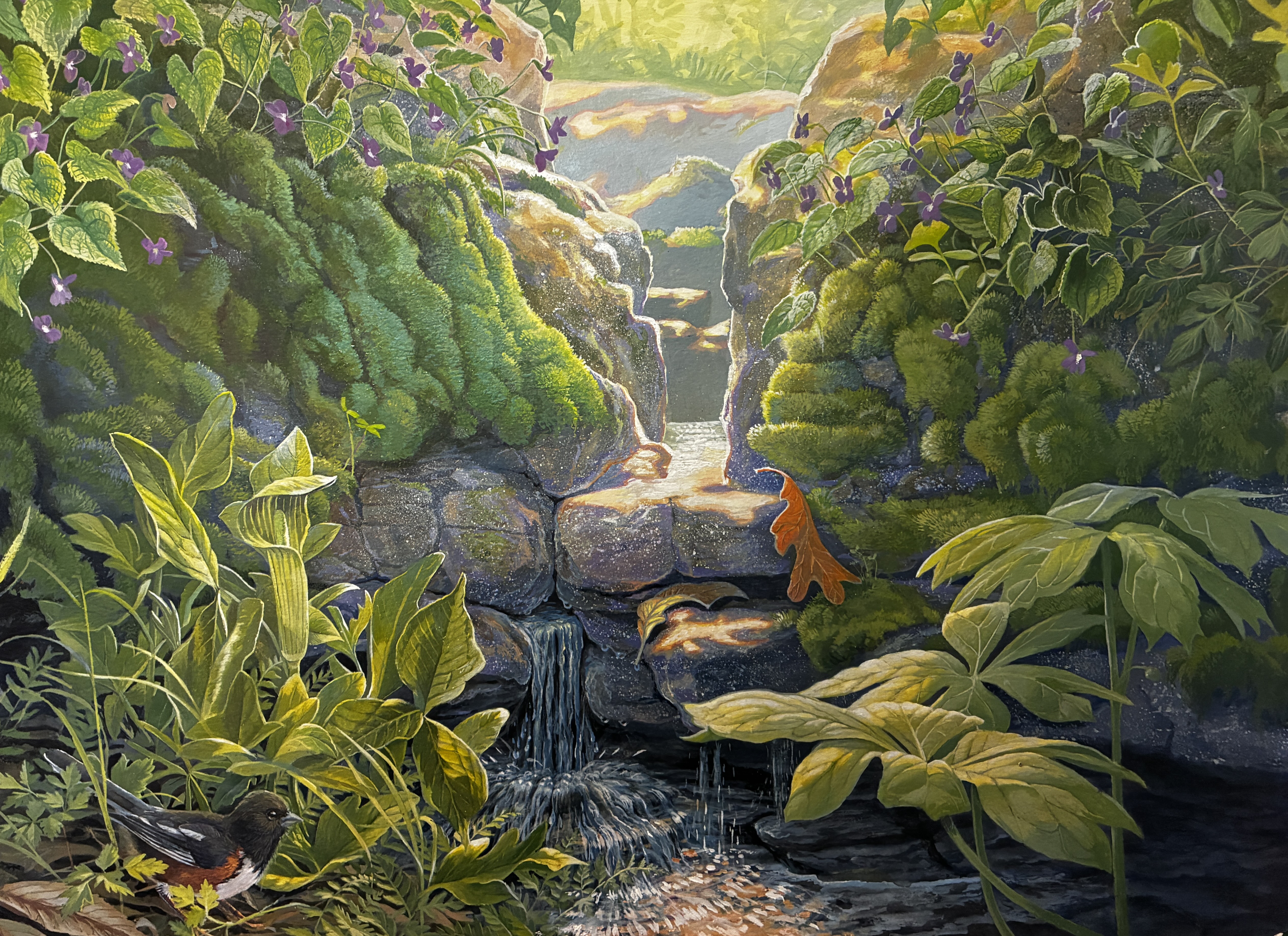Pleasant Ridge ~ Towhee