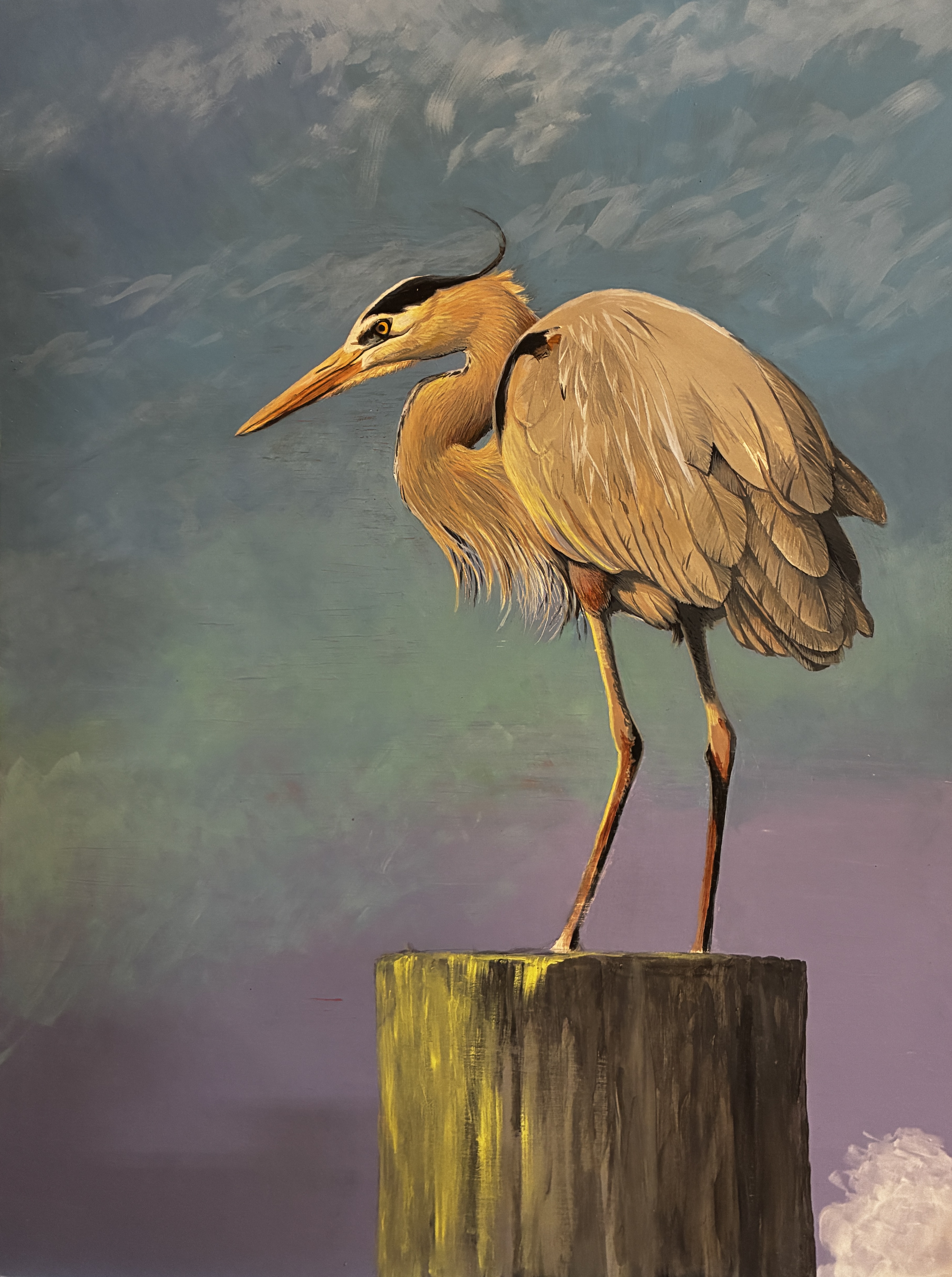 Waiting for the Tide Change ~ Great Blue Heron (Still in progress)