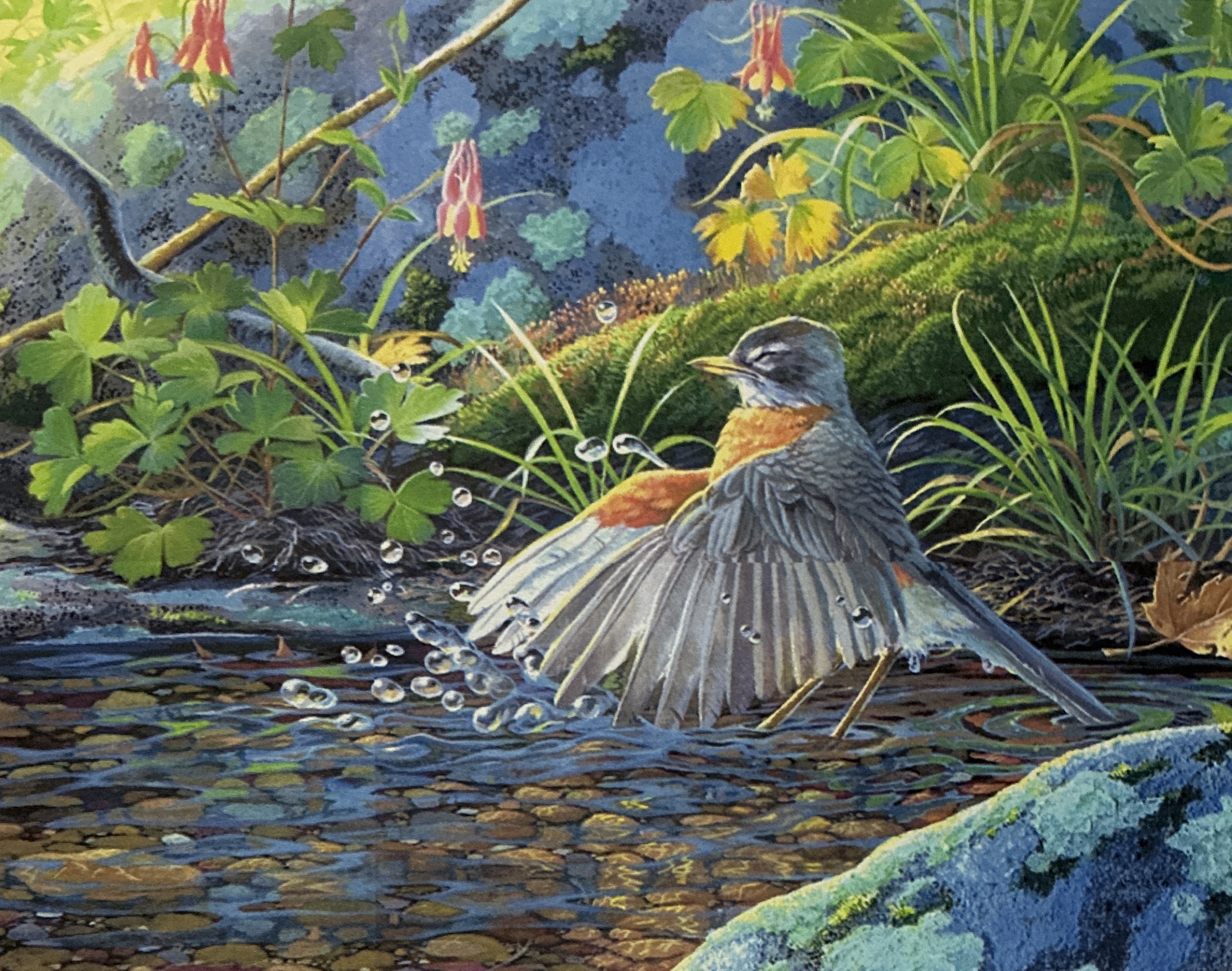 Spring Cleaning ~ American Robin and Columbine