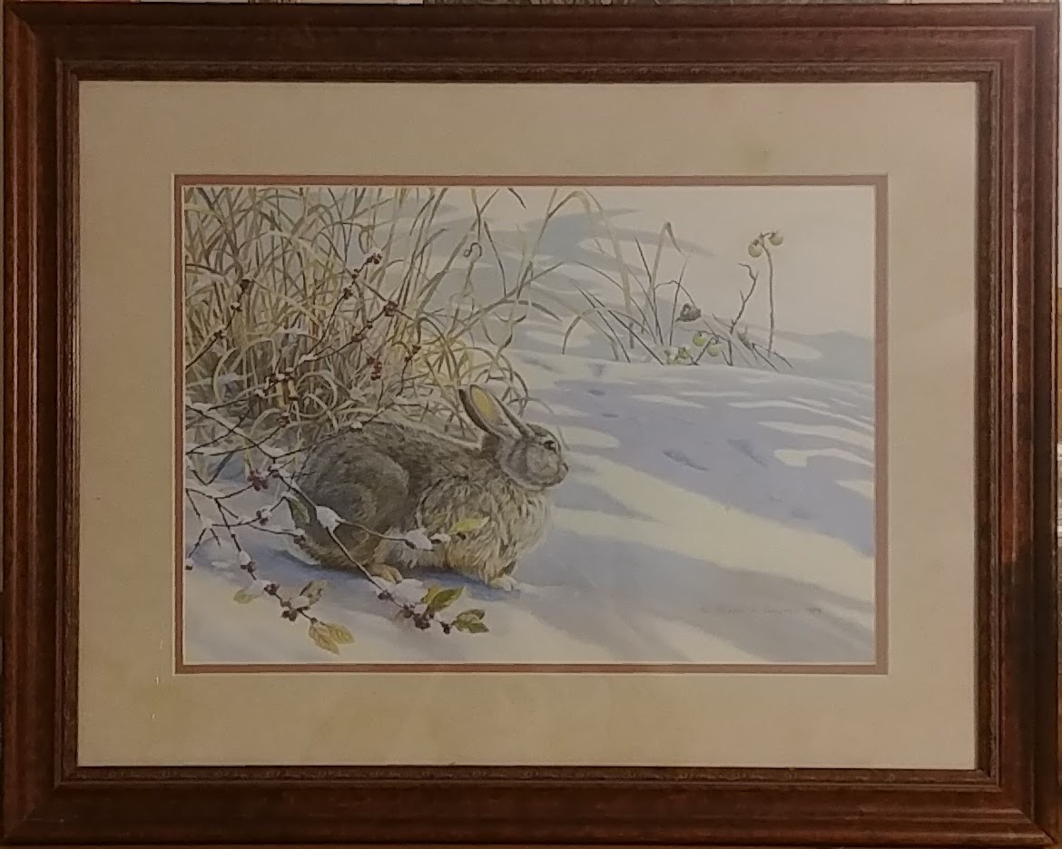 Winter Crossing ~ Eastern Cottontail