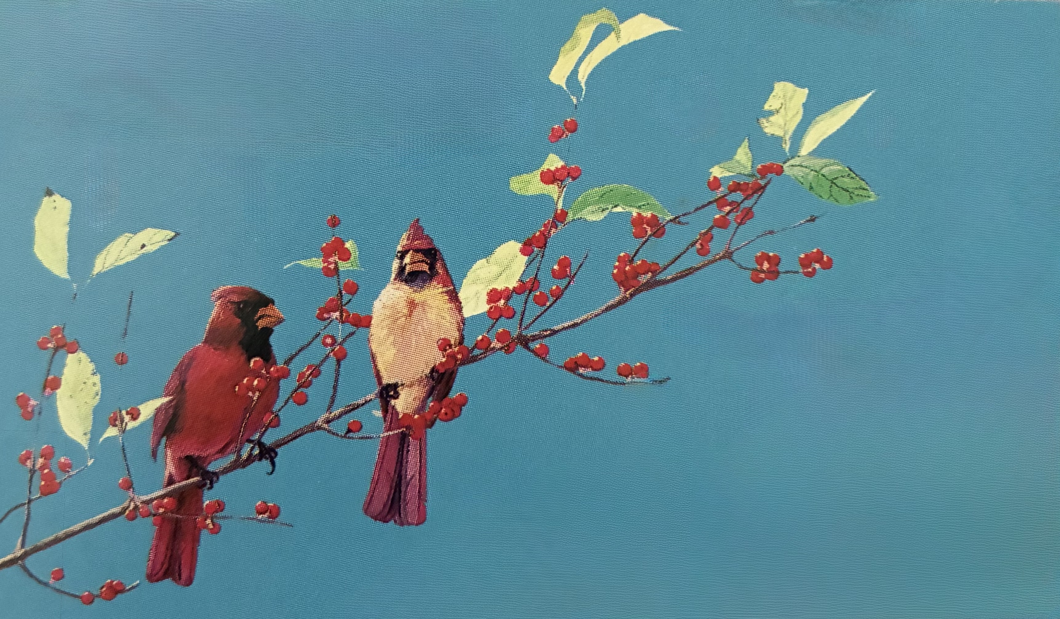Faith & Freedom ~ Northern Cardinal Pair in Possum Haw