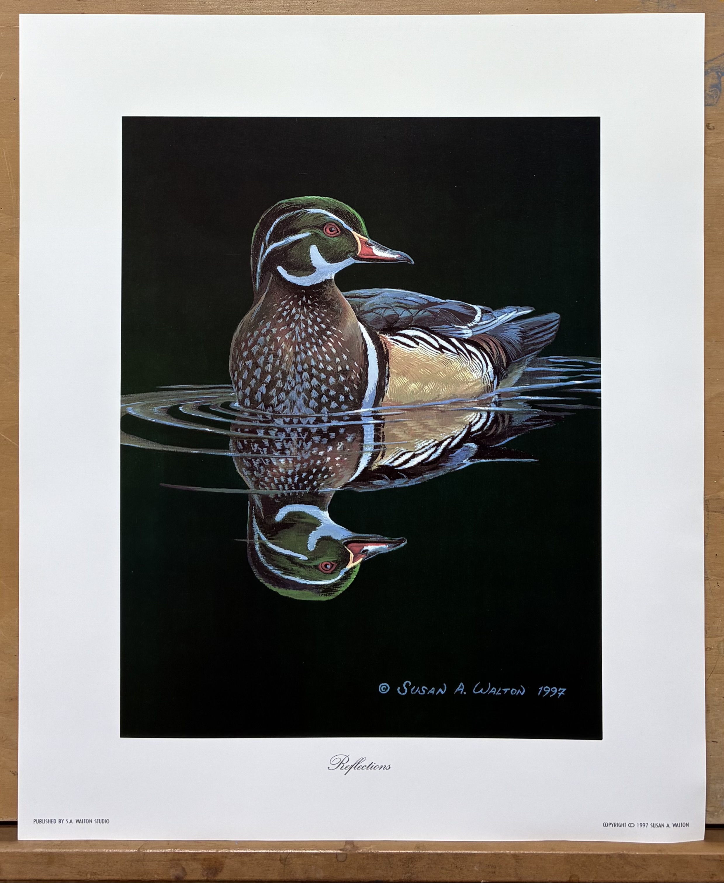 Reflections ~ Wood Duck Drake print