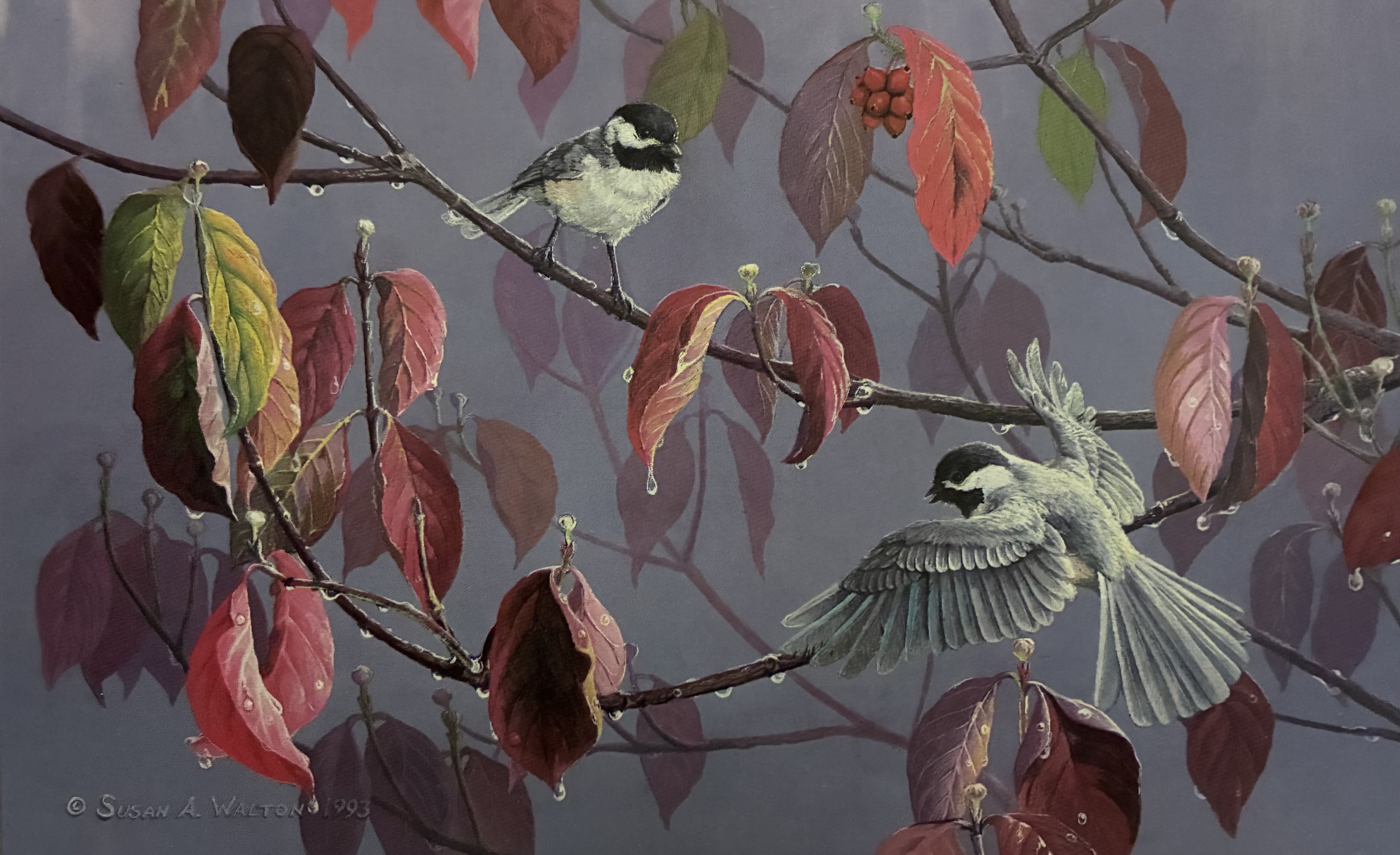 Undampened Spirits ~ Chickadees & Dogwood
