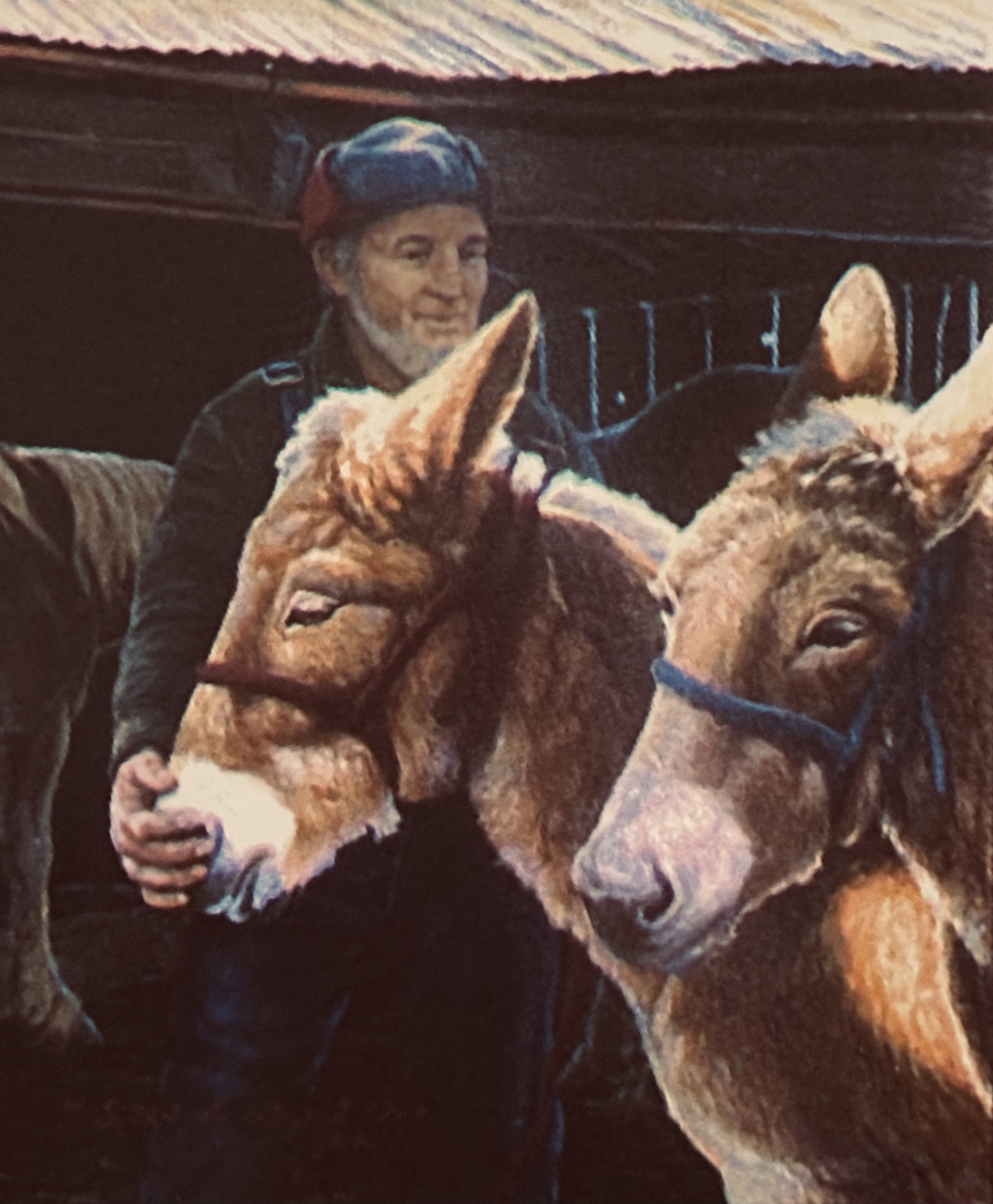 A Brotherhood of Teamsters ~Missouri Mules