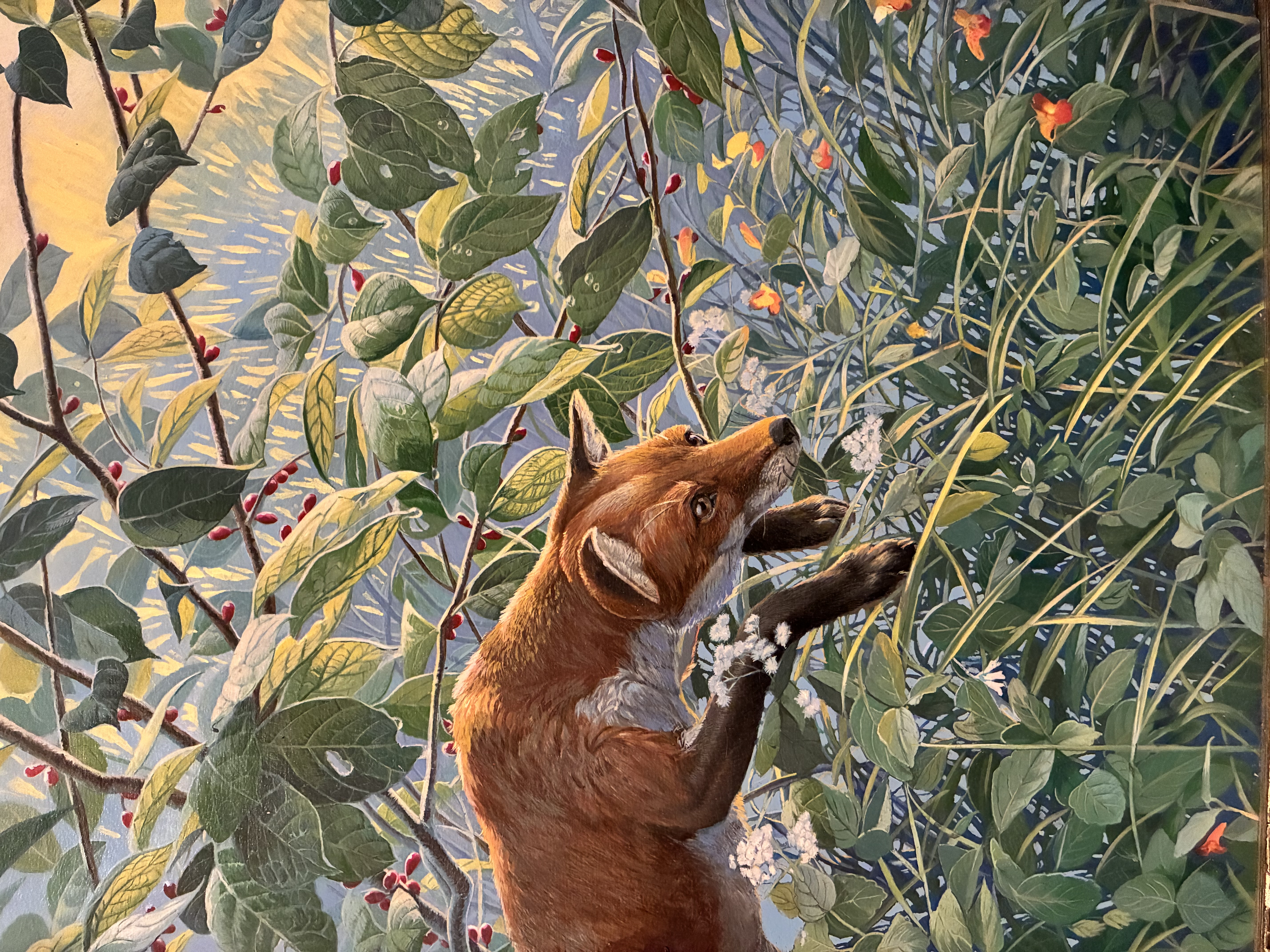 Leap of Faith ~ Red Fox and Jewelweed