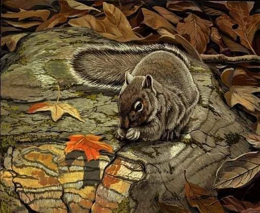 Table for One ~ Eastern Gray Squirrel