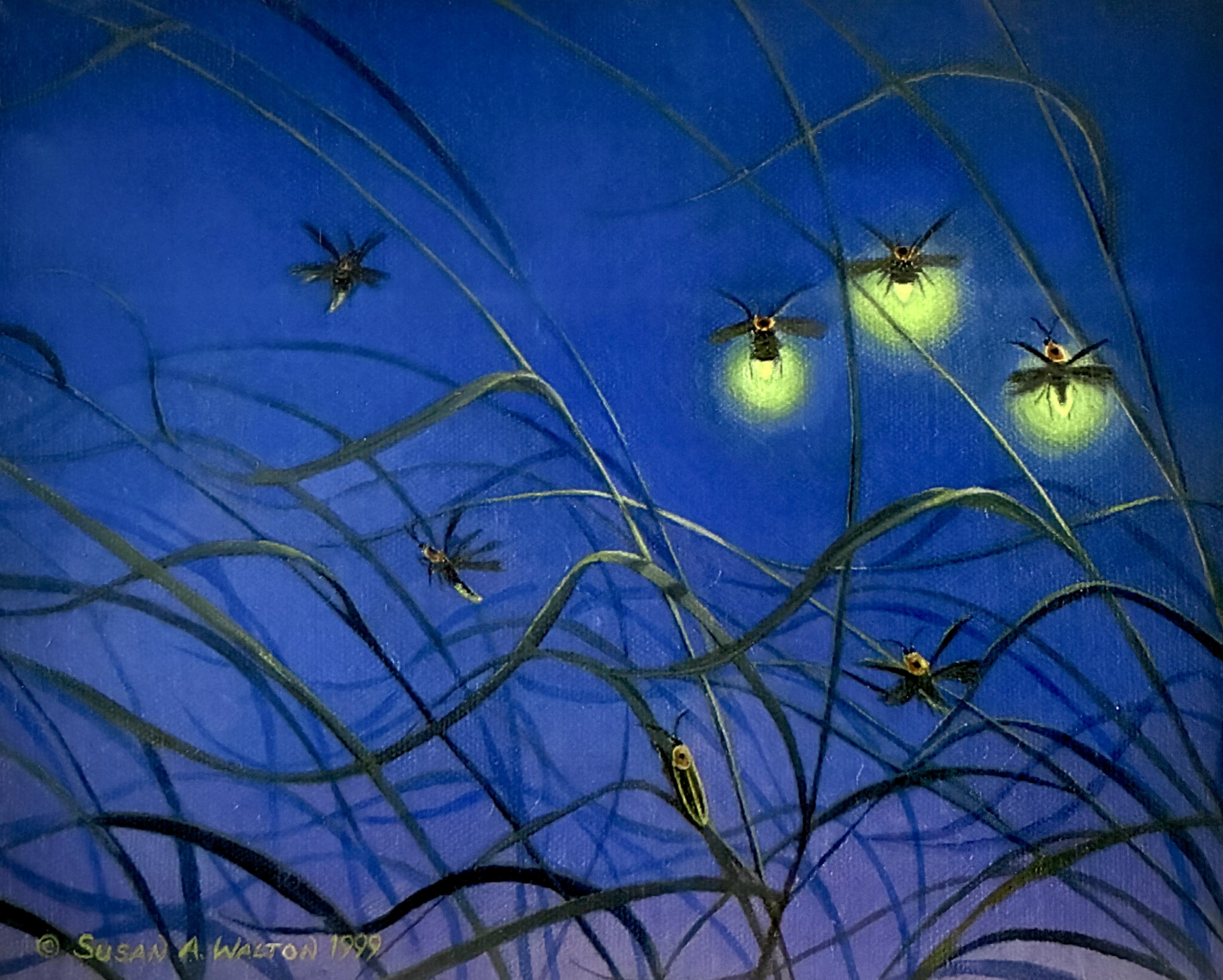 Summer ~ Lightning Bugs