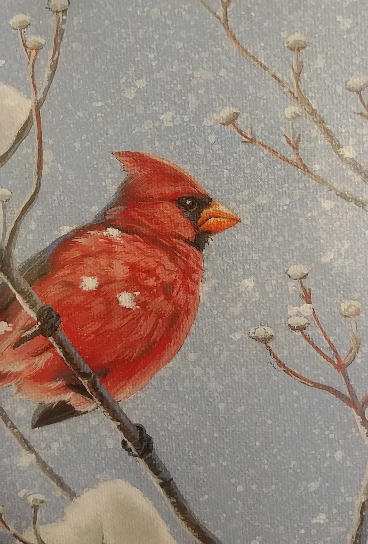 Perseverance ~ Northern Cardinal