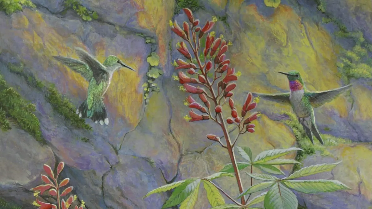 Let Us Rejoice ~ Ruby-Throated Hummingbirds