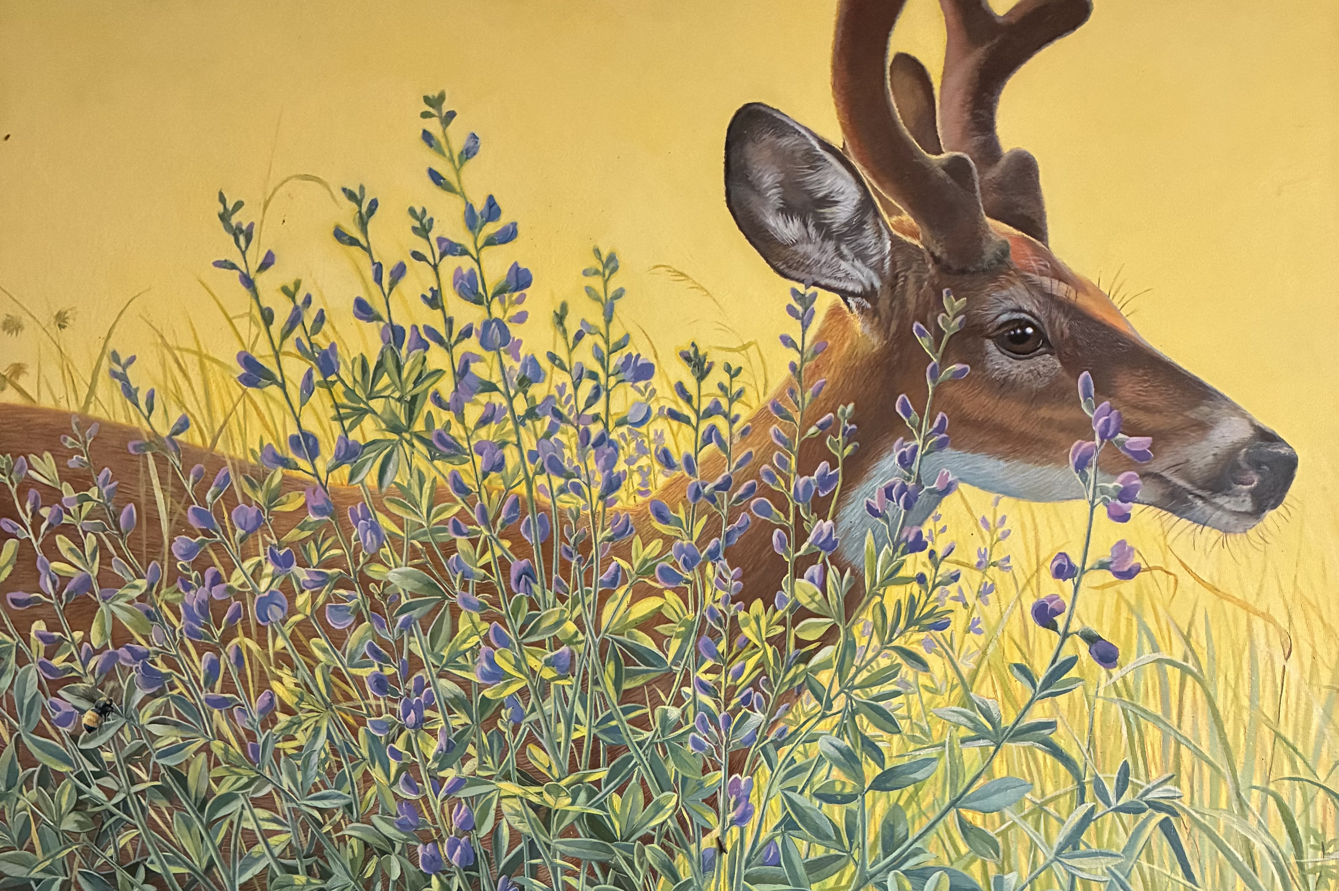 I Shall Walk In My Integrity ~ Whitetail Deer & False Blue Indigo