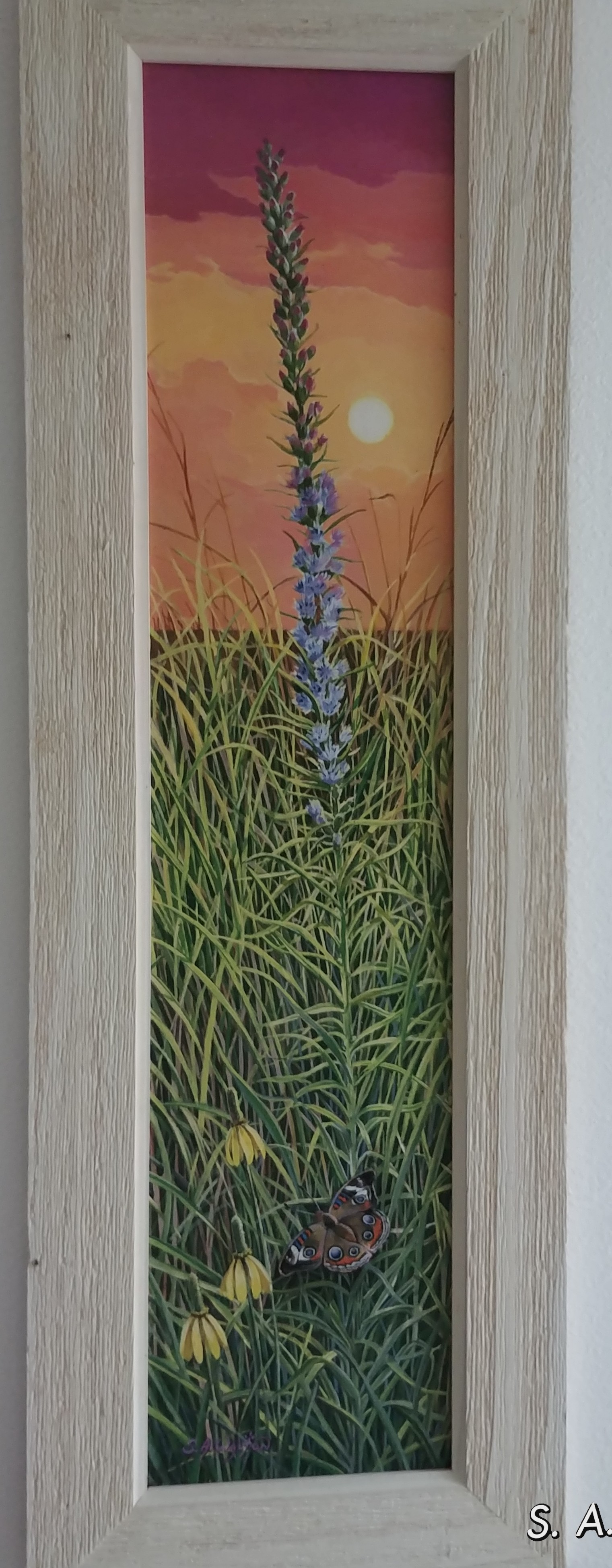 Blazing Star