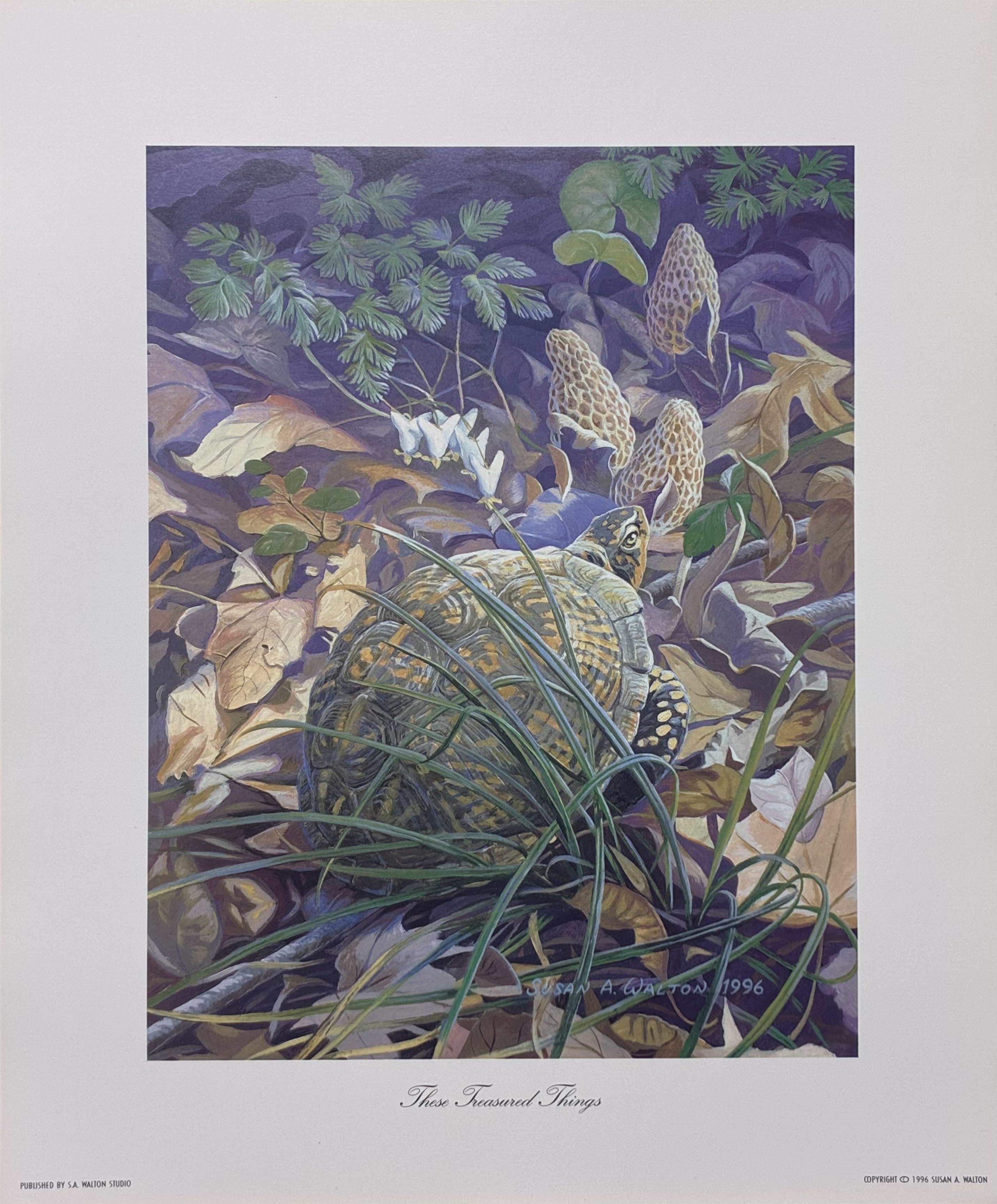 These Treasured Things ~ Three-toed Box Turtle print