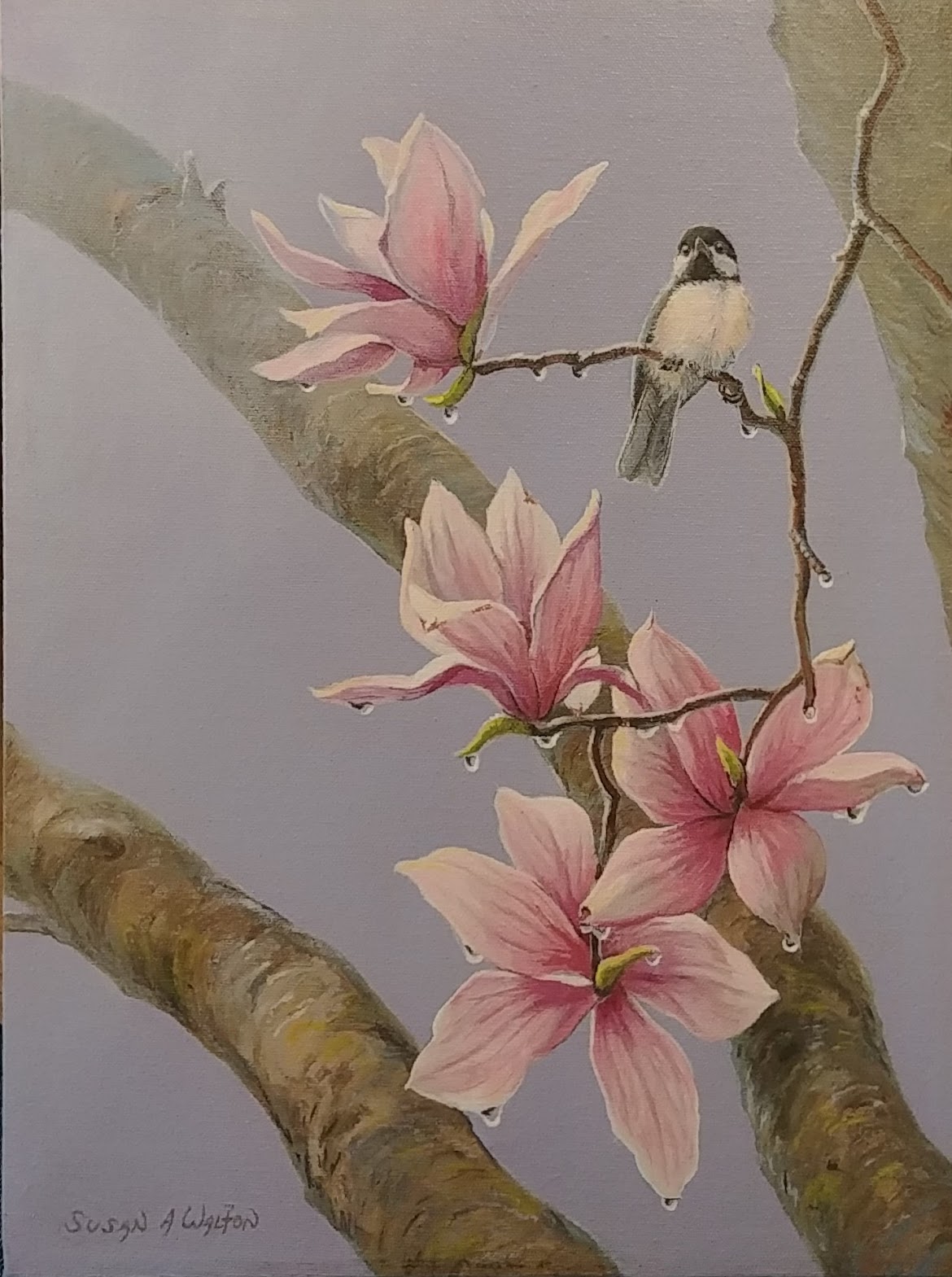 Into Each Life ~ Chickadee and Magnolia Lilliiflora Blossoms